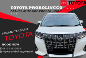 Toyota Alphard Probolinggo1